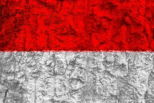 Indonesian flag texture as a background photo