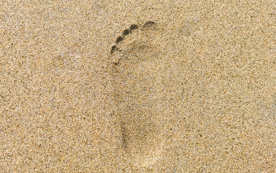 Footprint footprints on the beach sand by the water Mexico. photo