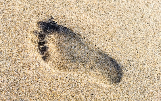 Footprint footprints on the beach sand by the water Mexico. photo