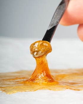 golden wax terp sauce, cannabis thc dab resin on paper photo