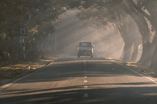 driving through the foggy road photo