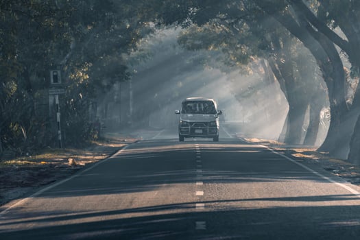 driving through the foggy road photo