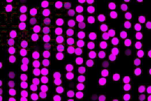 Unfocused abstract violet bokeh on black background. defocused and blurred many round light photo