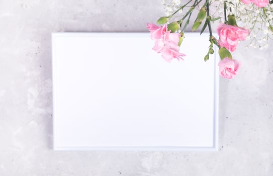 Festive background with white empty frame and pink carnations and gypsophila flowers on light grey. photo