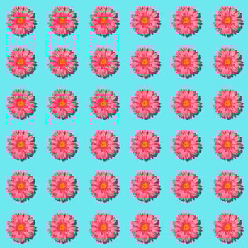 Seamless rythm pattern with gentle pink gerbera flowers on pastel blue background. photo
