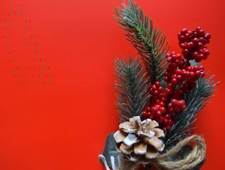 Christmas decoration. Fir tree twig fresh decorated against red color background, top view, copy space photo