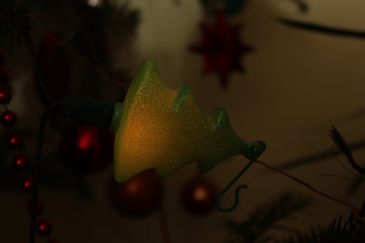 Christmas glitter globe found in a natural fir tree in the shape of a tree photo