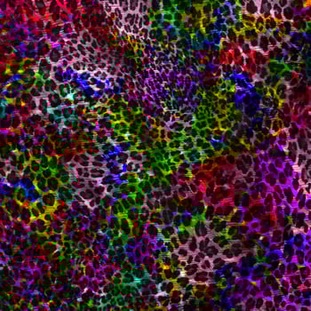 Leopard skin pattern abstract style,Textile and fashion fabric,Vintage style texture,Animal skin background,Leopard designed textile print pattern,Abstract leopard texture design photo