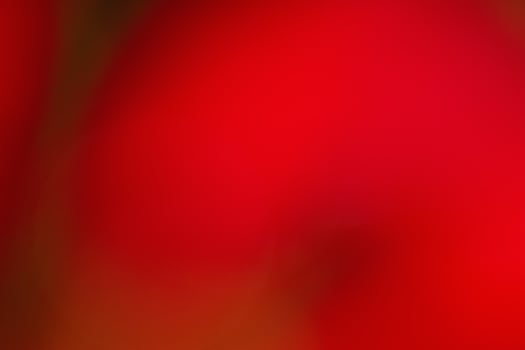 Abstract red defocused background. Blurred background red with black. photo