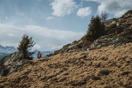 Lonely hiker is going beyond the horizon of yellow grass meadow with rocks and pine trees on it and with snowy peaks of the mountains in background and blue sky with clouds above him photo