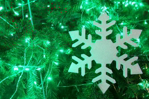 Christmas tree and decorations and lights photo