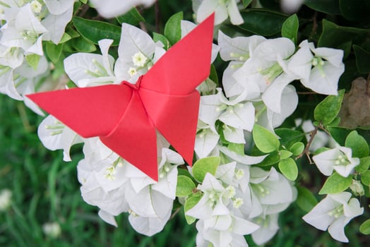 butterfly Origami with flower photo