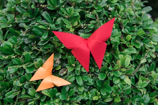 butterfly Origami with nature photo