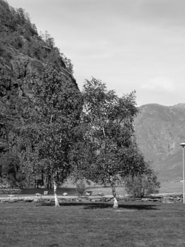 flam and the aurlandsfjord in norway photo