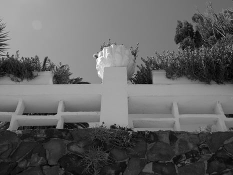 the island of tenerife photo