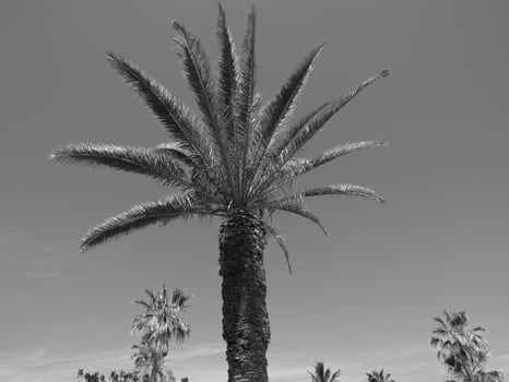 tenerife island in spain photo