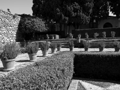 malaga in spain photo