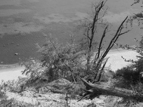 at the baltic sea in poland photo