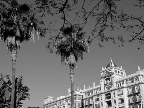 the cit of Porto at the douro river photo