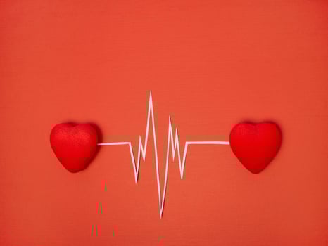 The concept of Valentine's day, the Rhythm of two hearts, heartbeat, cardiogram photo