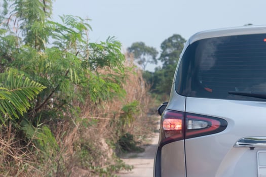 A white car parked by a tree on roadside in a countryside. photo