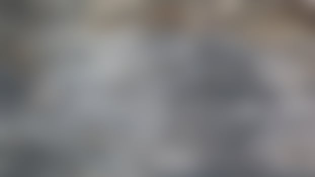 defocused stunning wood texture as background photo