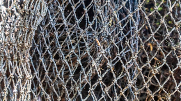 fish mesh texture as background photo