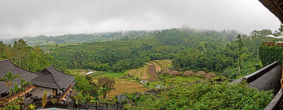 View over typical rice terraces on the island of Bali in Indonesia photo