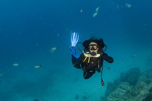 beautiful latina mexican girl diving in cortez sea photo