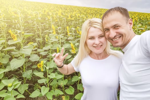 We grew this vast field of sunflowers photo