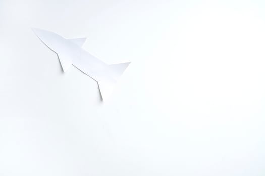 Concept for Indian Independence day and republic day, view of flying missile on white background photo