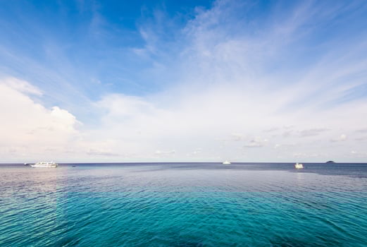 Background sky and clouds in the summer photo