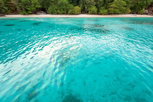 Honeymoon Bay and beach in Similan island, Thailand photo