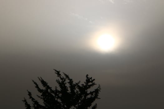 Rain clouds in the sky above the forest. photo