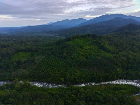Beautiful morning view of Indonesia. Aerial photo of a river between the mountains and forests of Indonesia