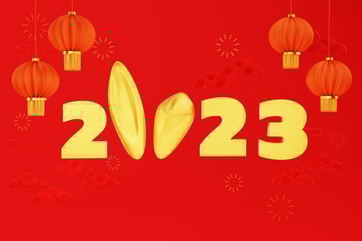 2023 Lunar new year. year of the rabbit. Chinese traditional new year on red background photo