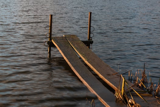 Boardwalk in the Water photo