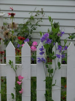 Spring time in norway photo