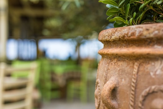 Antique terracotta vase closeup, Mediterranean summer mood, outdoor restaurant with tropical flowers and leaves, blurred chairs and table. photo