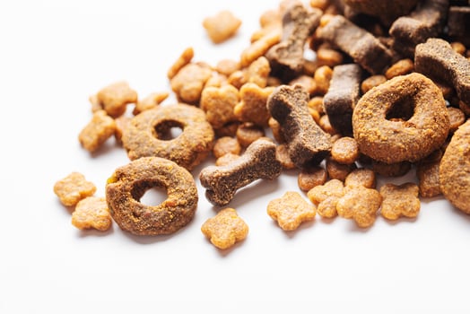 Dry food for dogs of different shapes on a white background. photo