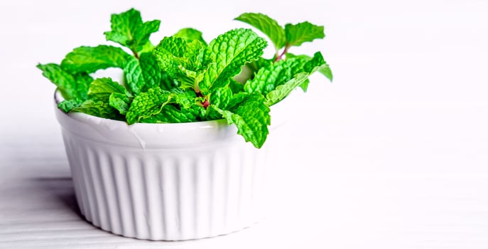 Mint leaf or Fresh mint herbs in a white bowl on white background photo