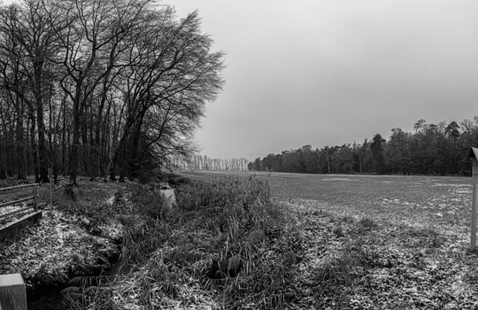 Image of a stream flowing through a winter forest photo