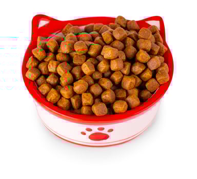 Dry cat food in a bowl, isolated on white background photo