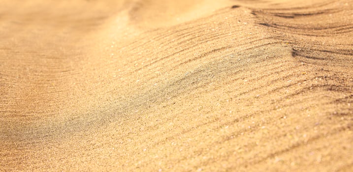 Yellow sand closeup as texture. Selective focus photo