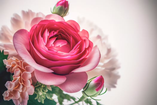 Close up shot of fresh flowers for Valentine's Day background with copy space. Gift ideas for Valentine. photo
