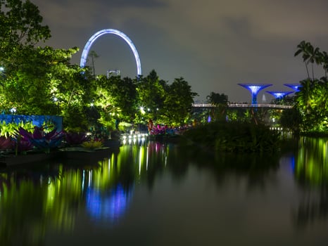Picture of Gardens by the bay park in Singapore during nighttime in September photo