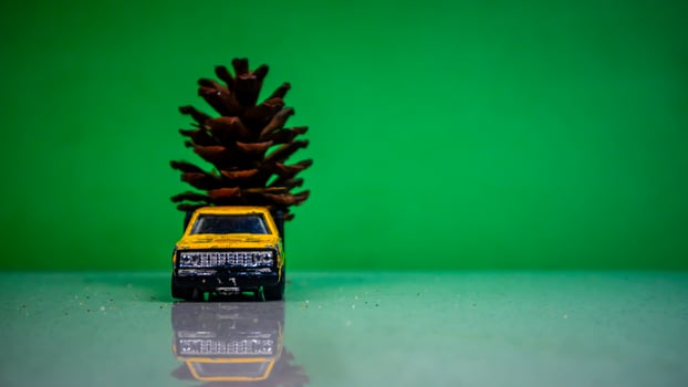Minahasa, Indonesia  December 2022, the toy car transporting pinecones photo