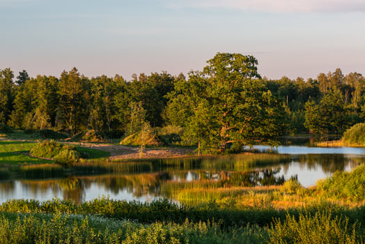 Latvian summer landscapes photo