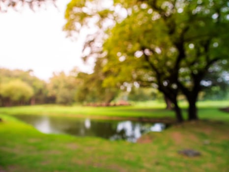 Blurred image natural green park background wallpaper photo