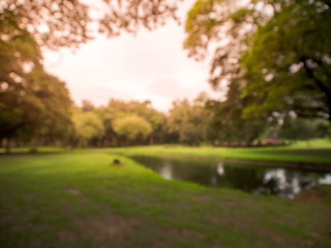 Blurred image natural green park background wallpaper photo